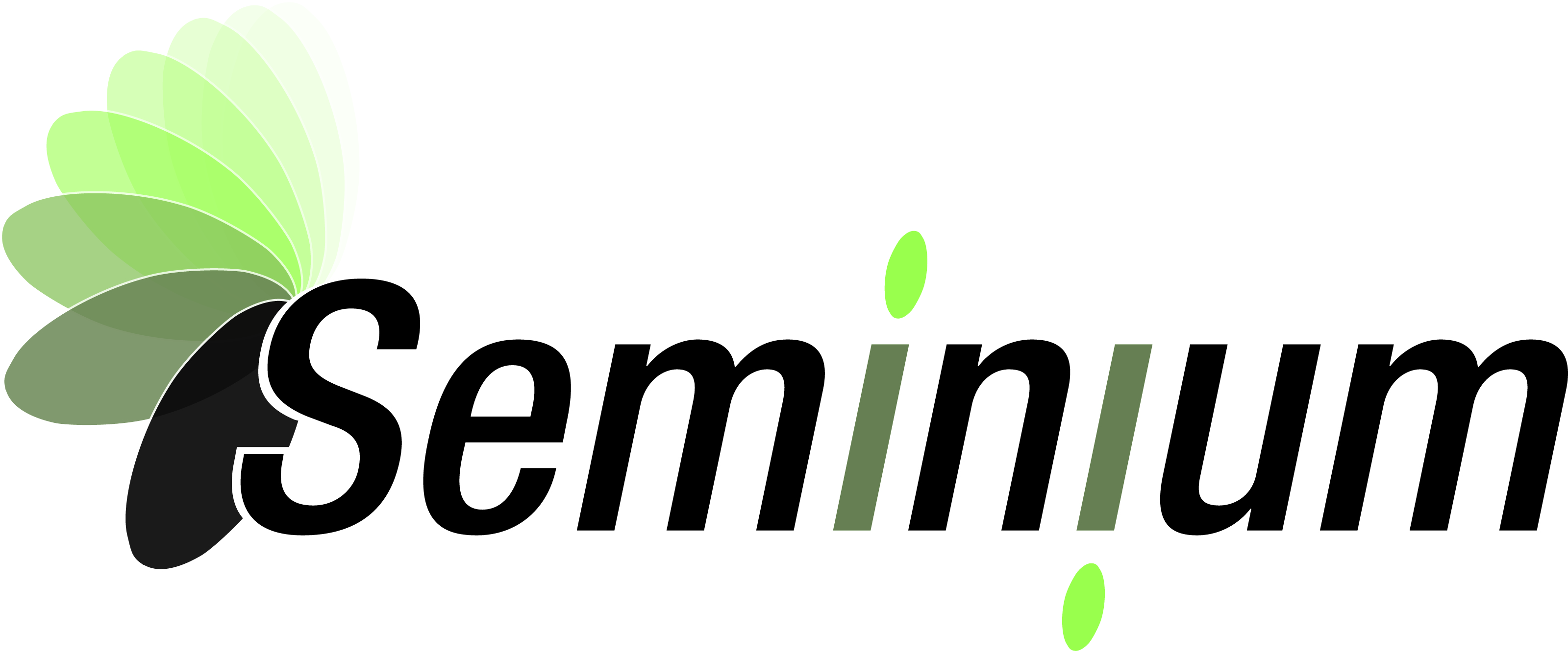 Logo Metodo Seminium